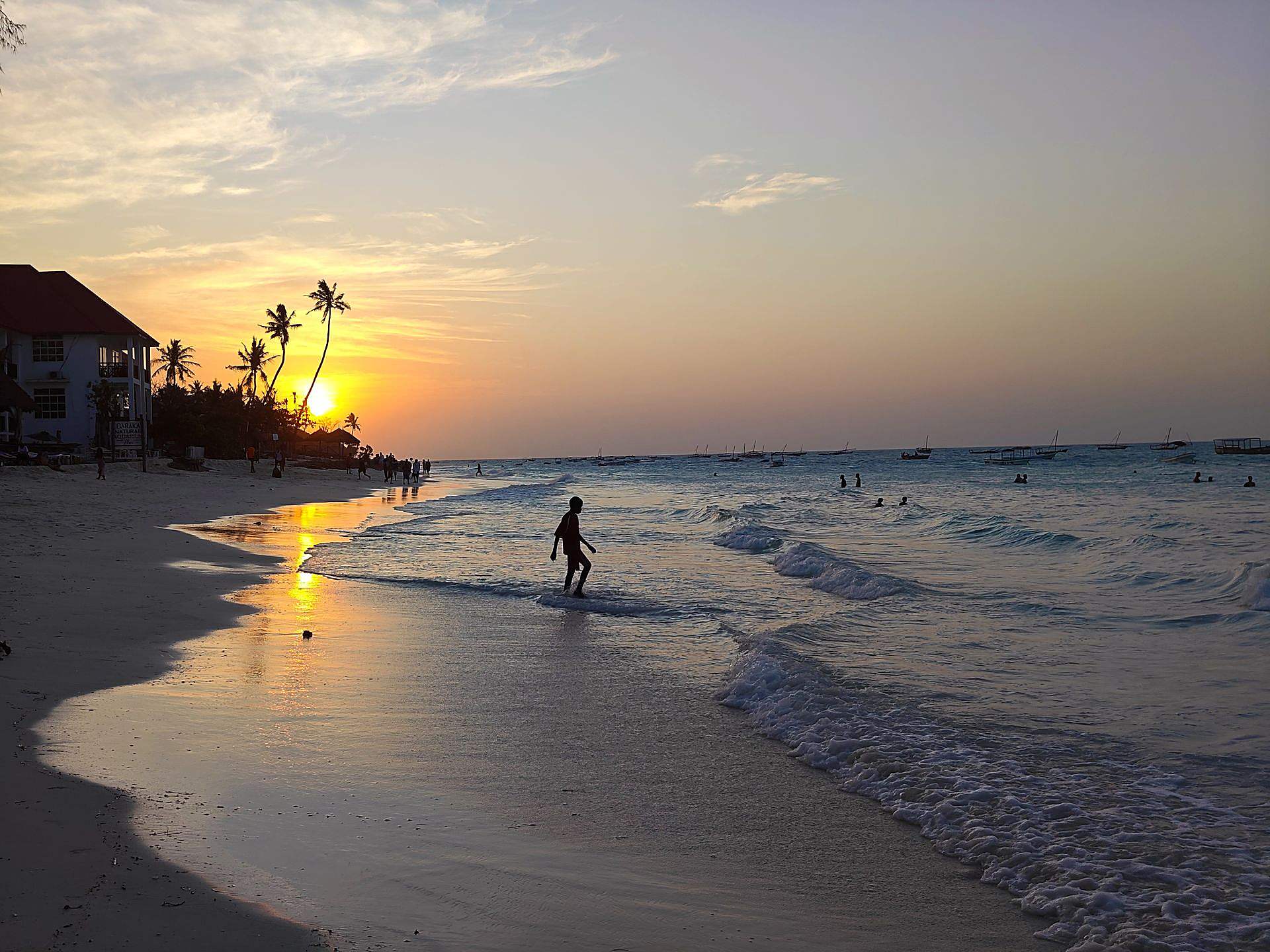 Palm trees at sunset on a Zanzibar beach